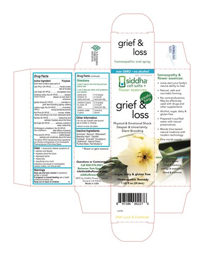 Grief And Loss (Grief And Loss)